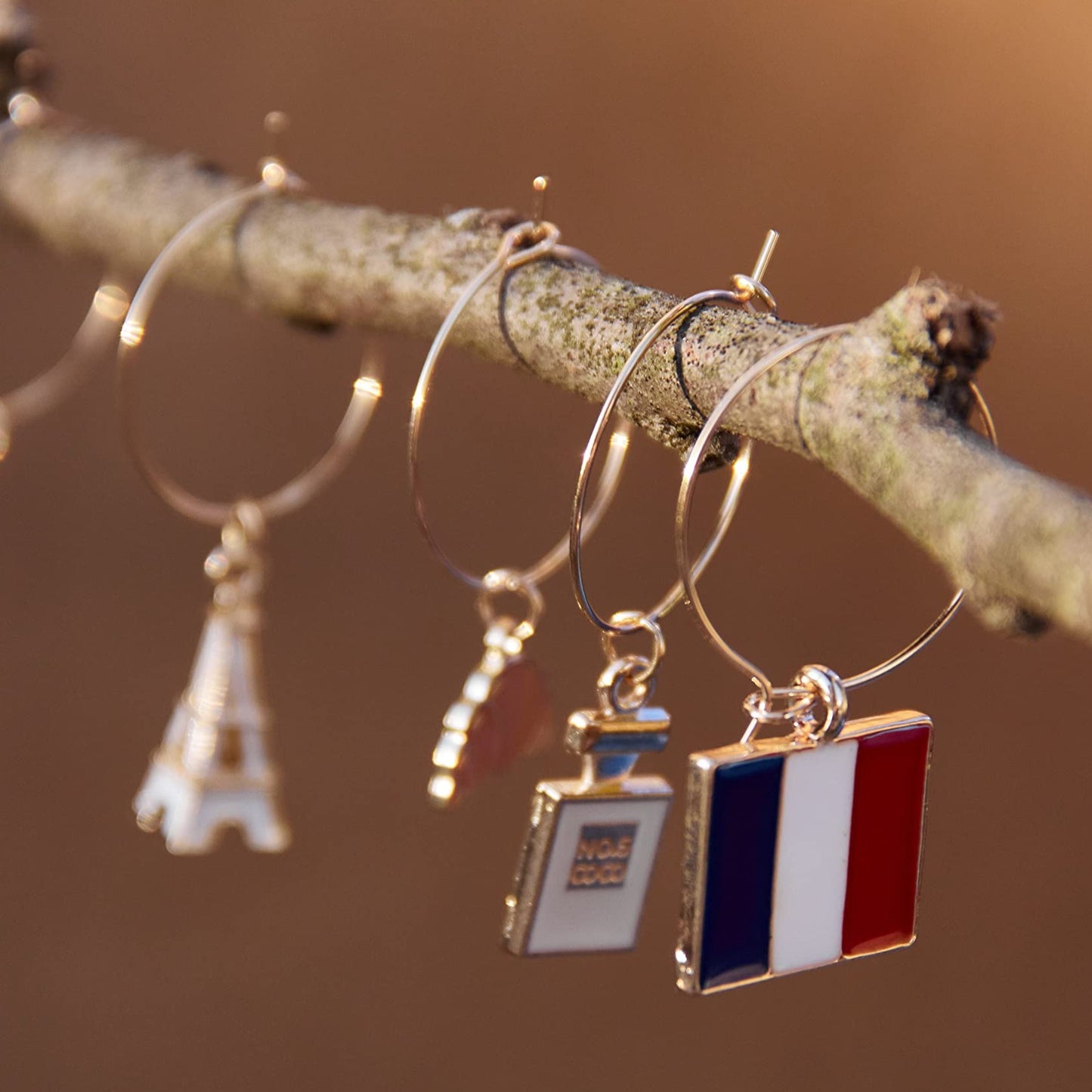 A set of French Wine Charms hooked on a tree stump.